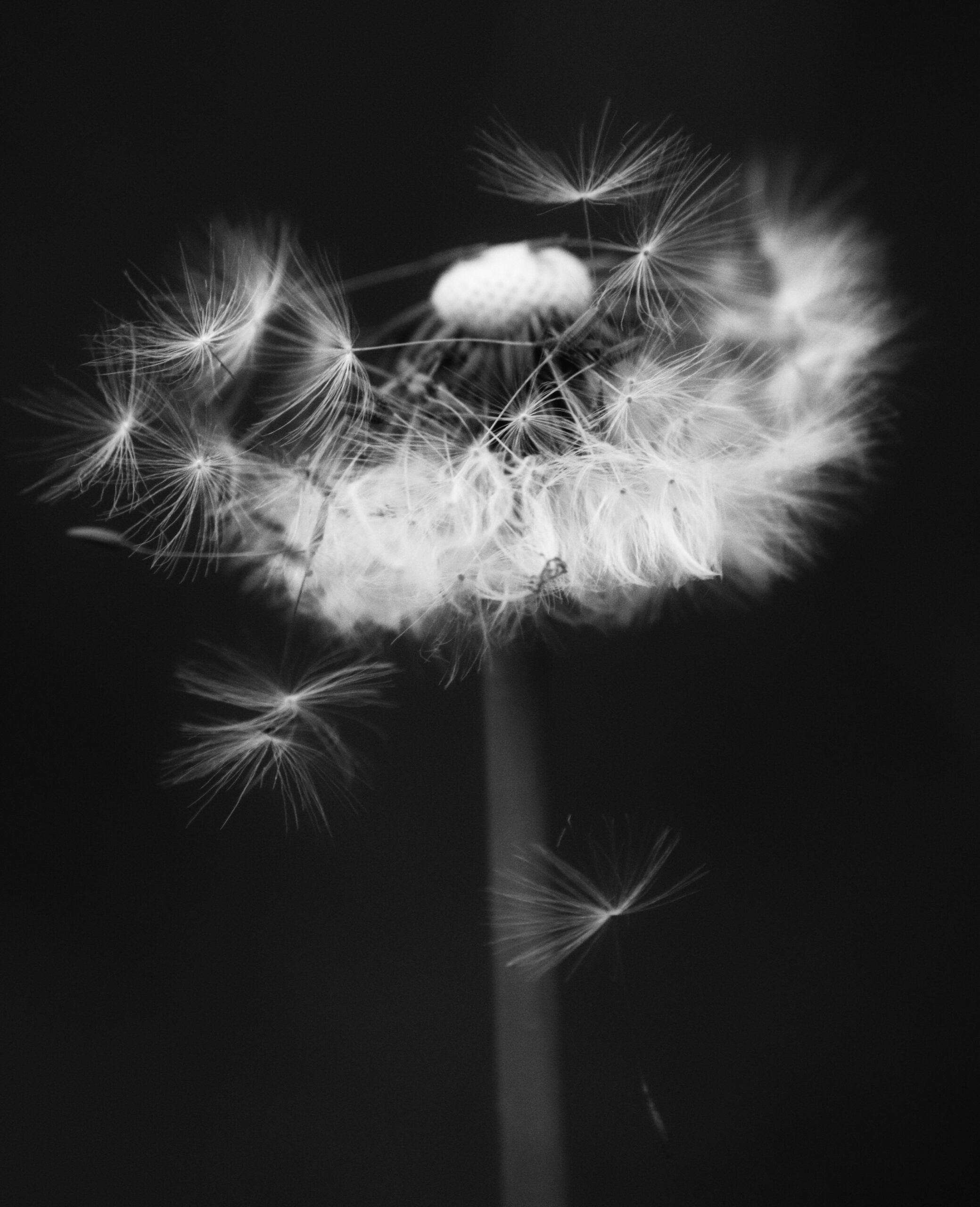 Hello World Featured Image