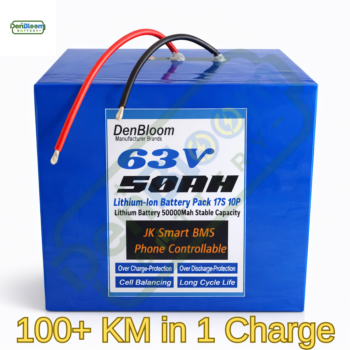63V 50Ah Lithium Battery Pack (17S 10P) for Electric Bikes & Scooters | 21700 Cells | JK Smart BMS